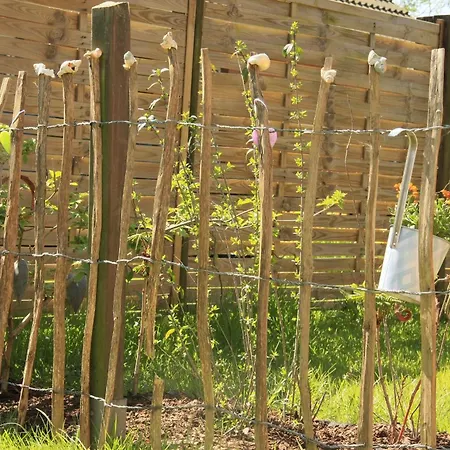 Sanfte Brise Ii * 다게불